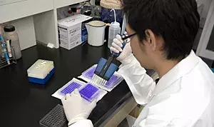A photo of a researcher preparing samples