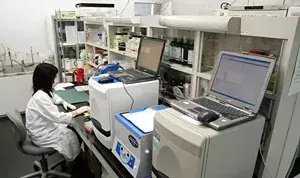 A photo of a researcher performing a biofilm assay