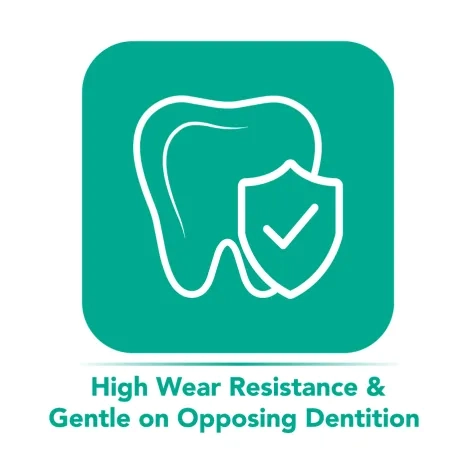 High Wear Resistance