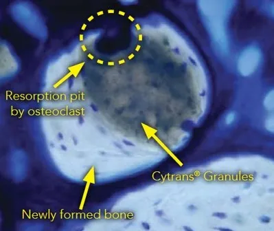 Prof-Kunio-Ishikawa-Pic-1