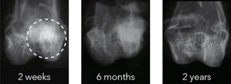 Prof-Kunio-Ishikawa-Pic-2