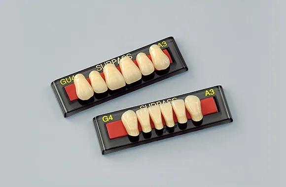 [歯冠材料]人工歯（硬質レジン歯） サーパスG