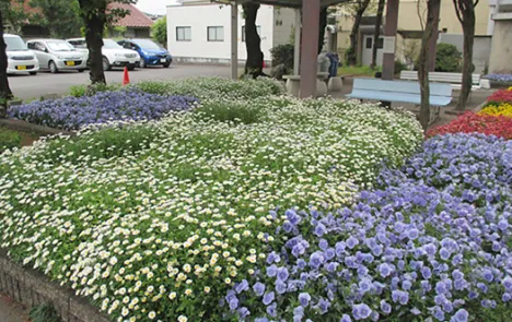 緑あふれる工場づくり活動