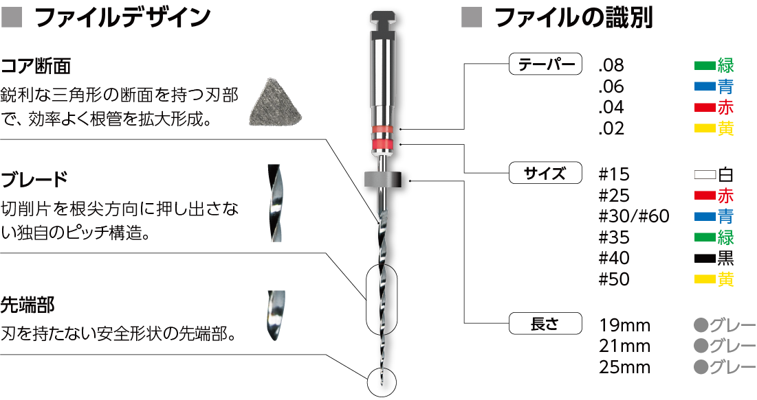 コア断面-鋭利な三角形の断面をもつ刃部で、効率よく根管を拡大形成。ブレード-切削片を根尖方向に押し出さない独自のピッチ構造。先端部-刃を持たない安全形状の先端部。