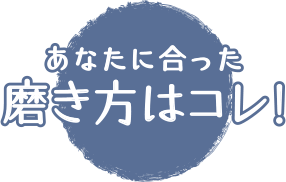 音波振動歯ブラシ PRINISA Smaileの特徴