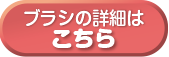 ブラシの詳細はこちら