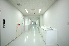 手洗い場と内壁を清潔感のある白で統一した