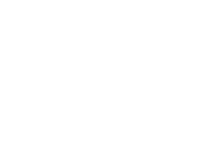 Digital Workflow
