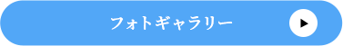 フォトギャラリー　シミュレーション