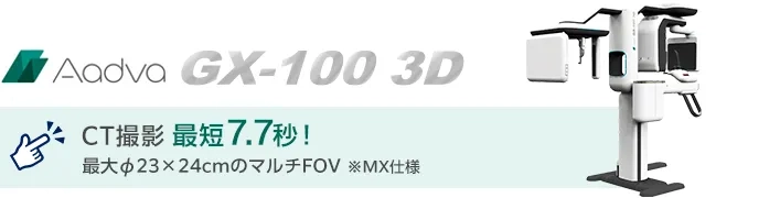 AadvaGX100
