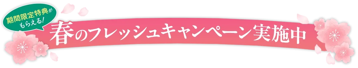 春のフレッシュキャンペーン実施中
