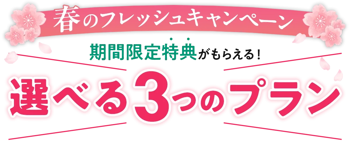 春のフレッシュキャンペーン選べる3つのプラン