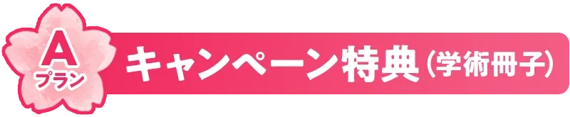 プレゼントアイコンA