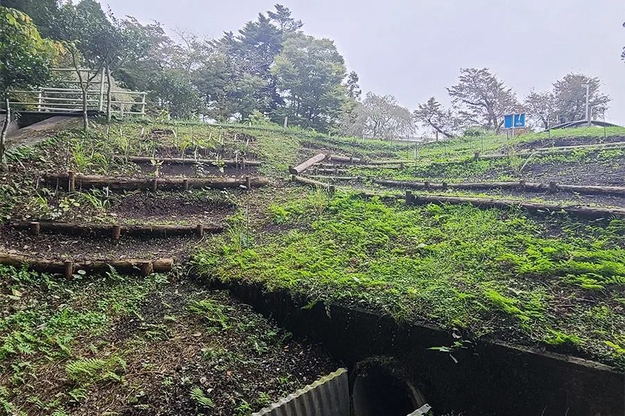 敷地内のビオトープ