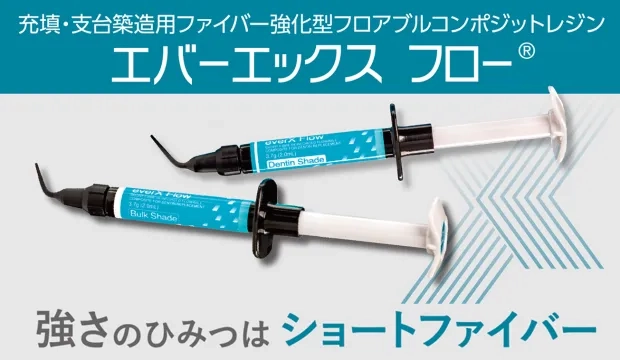 エバーエックス専門サイトバナー