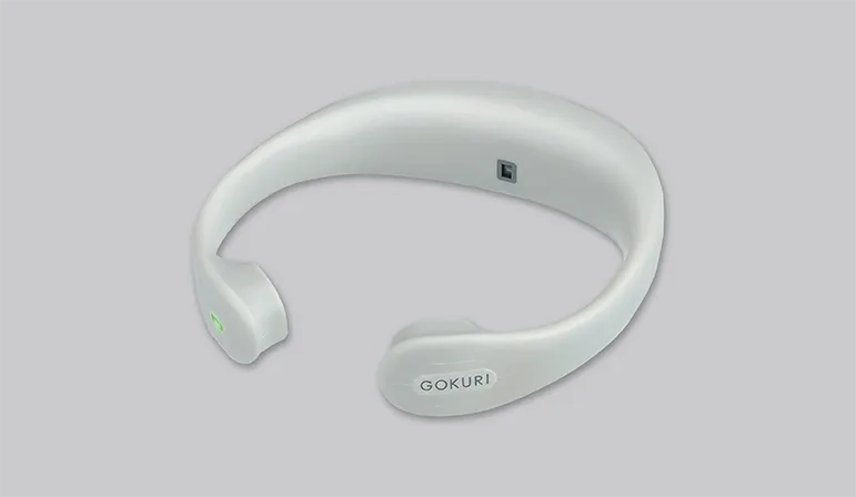 GOKURI