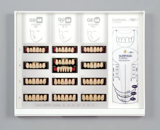 【歯科技工】GC　サーパス前臼歯全形態パレット（A3) SURPASS POSTERIOR TEETH | 株式会社ジーシー