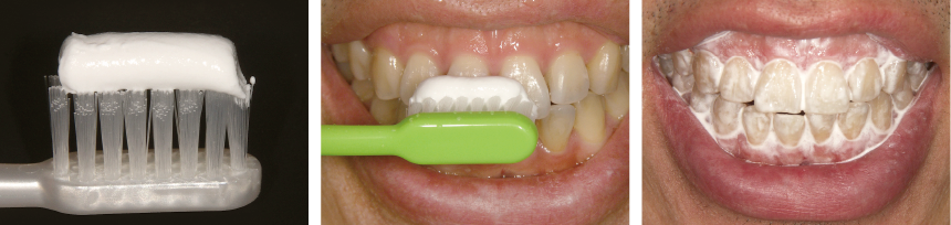 ［使用方法］ブラシにたっぷりとのせる前歯から磨く