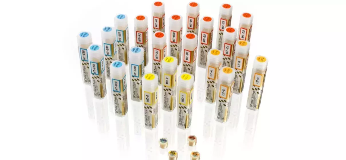 GC Initial® LiSi Press