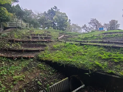 廠區內的生態池