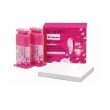  FujiCEM2